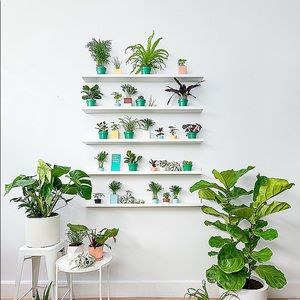 Meet your Posher, Mish